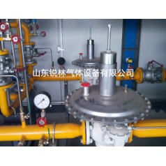 1000立方LNG撬裝氣化調壓裝置