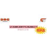 L1-CAM (CD171) 腫瘤標(biāo)志物 L1-CAM 是卵巢癌和子宮內(nèi)膜癌發(fā)展進(jìn)程的一個標(biāo)志物