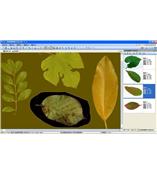 LA-S型植物葉面積、病斑、蟲損、葉色分檔分析儀系統