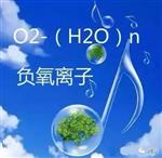 負(fù)氧離子在線監(jiān)測系統(tǒng) 衡量一個(gè)公園空氣優(yōu)劣的神器