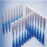 0.1ml 0.2ml白色熒光定量PCR八聯(lián)管@今日熱點(diǎn)新聞